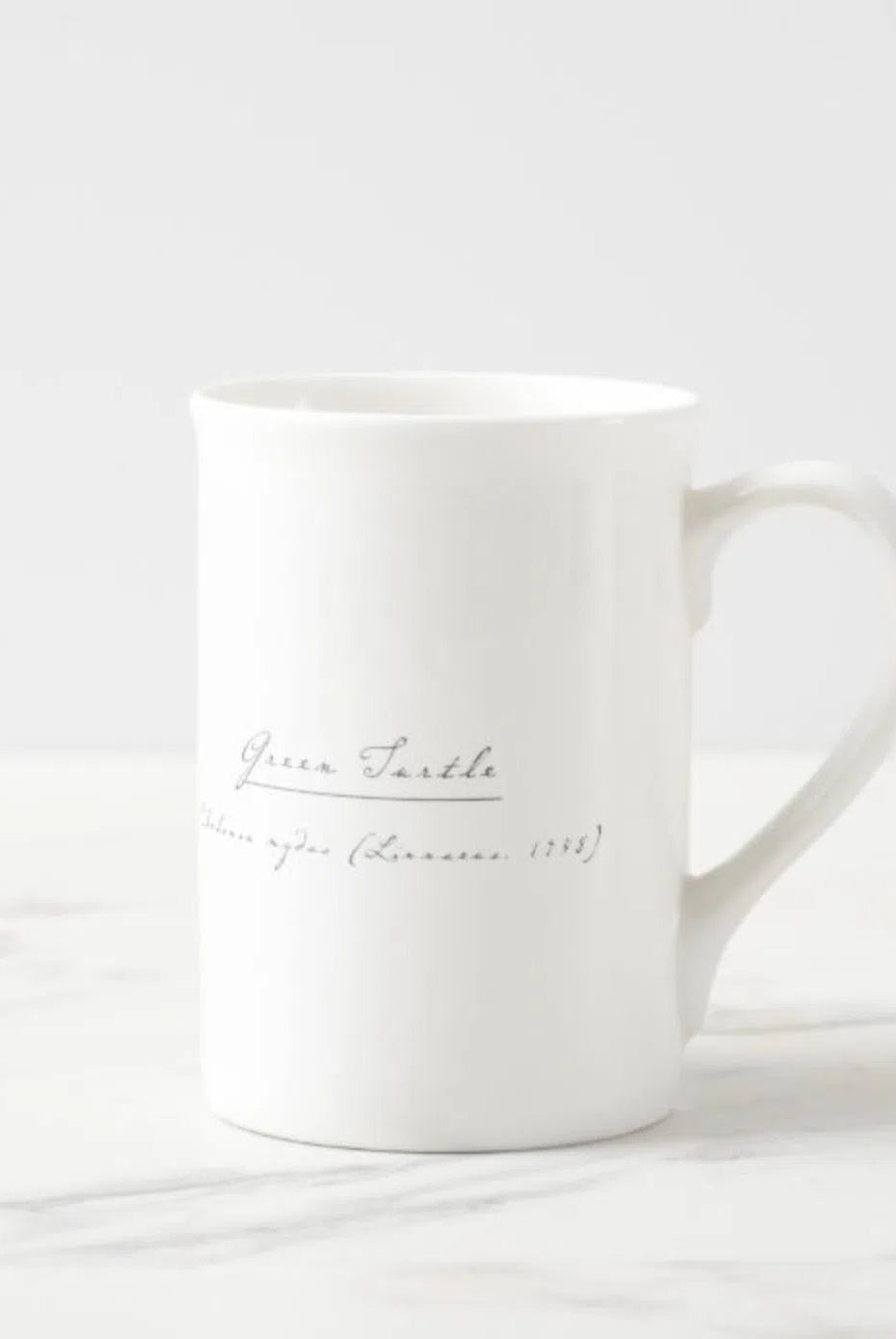 Green Sea Turtle - Fine Bone China Mug-Stick Figure Fish Illustration