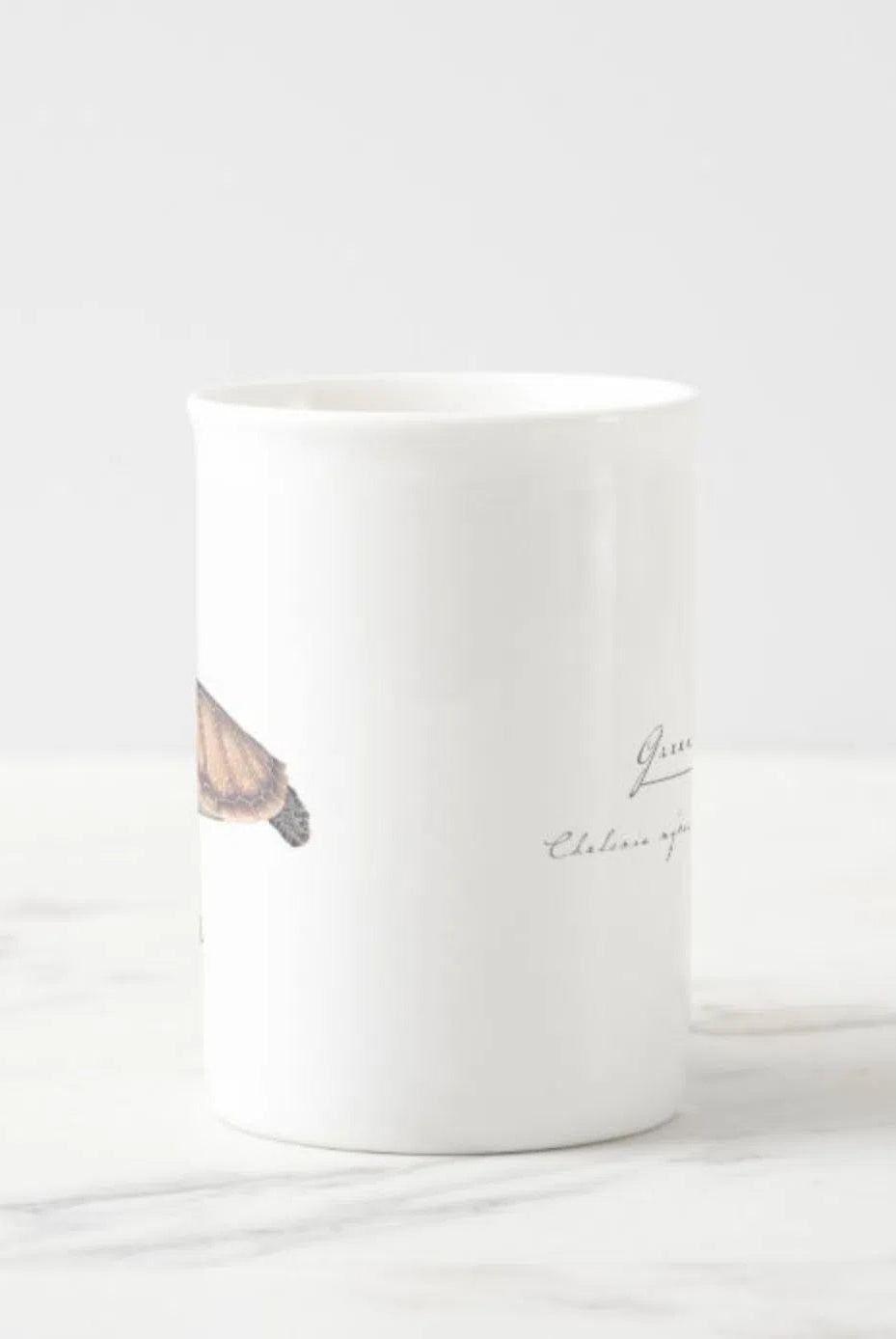 Green Sea Turtle - Fine Bone China Mug-Stick Figure Fish Illustration