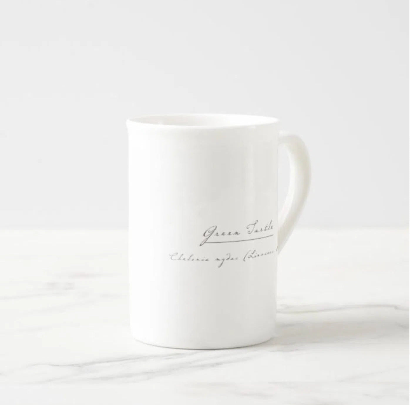 Green Sea Turtle - Fine Bone China Mug-Stick Figure Fish Illustration