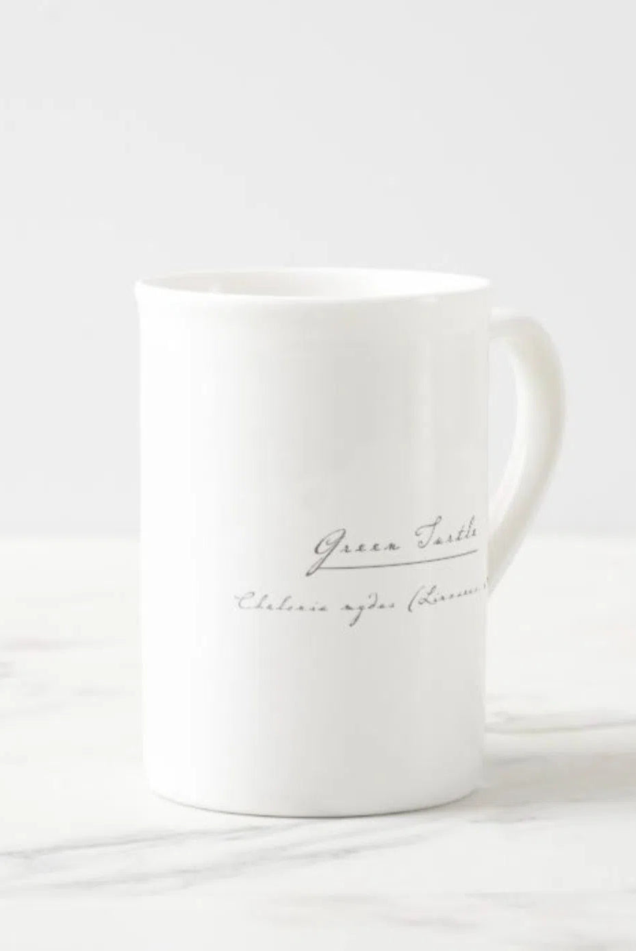 Green Sea Turtle - Fine Bone China Mug-Stick Figure Fish Illustration