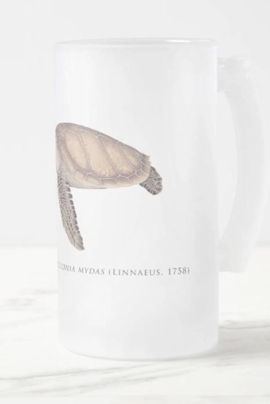 Green Sea Turtle - Frosted Glass Stein-Stick Figure Fish Illustration