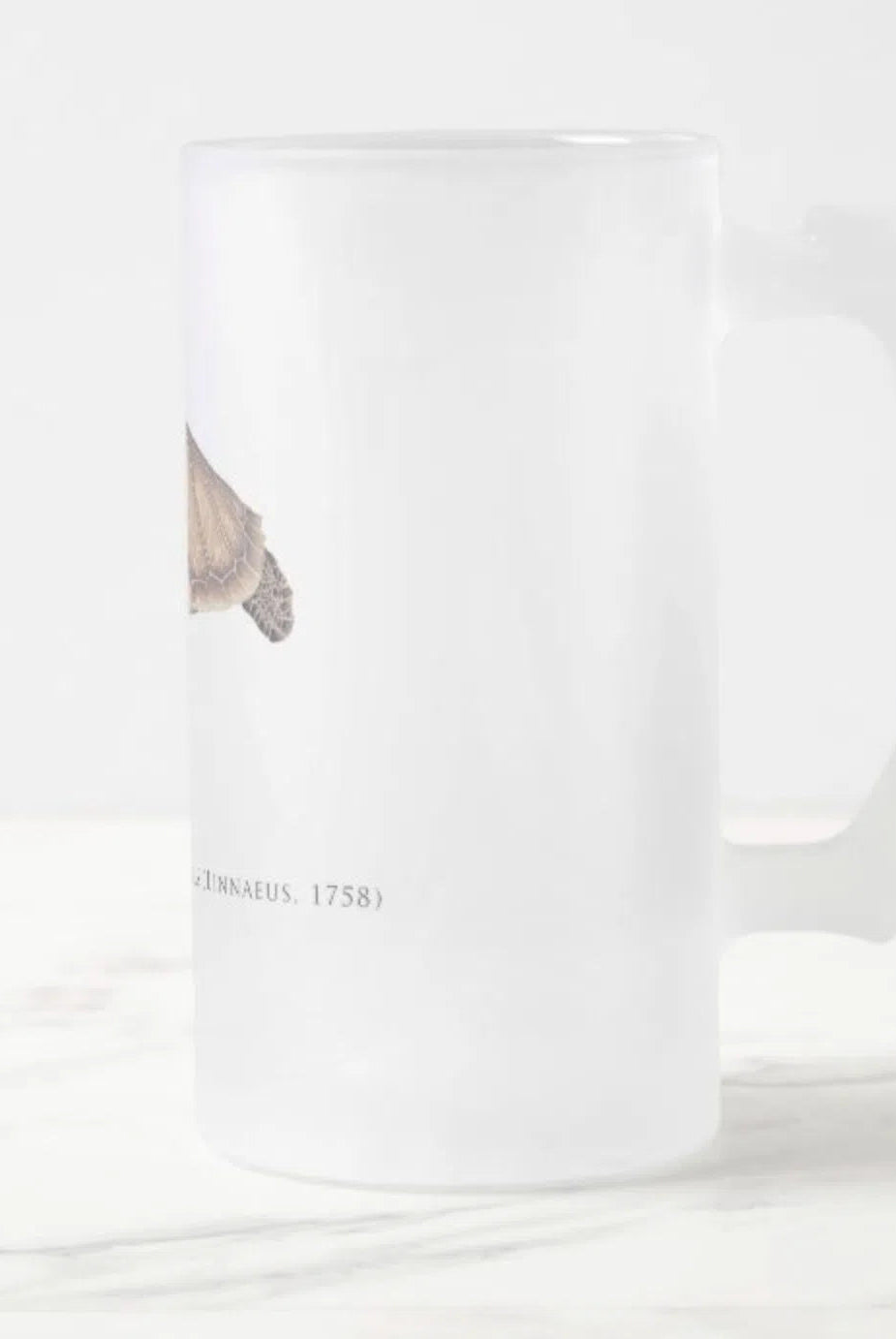 Green Sea Turtle - Frosted Glass Stein-Stick Figure Fish Illustration