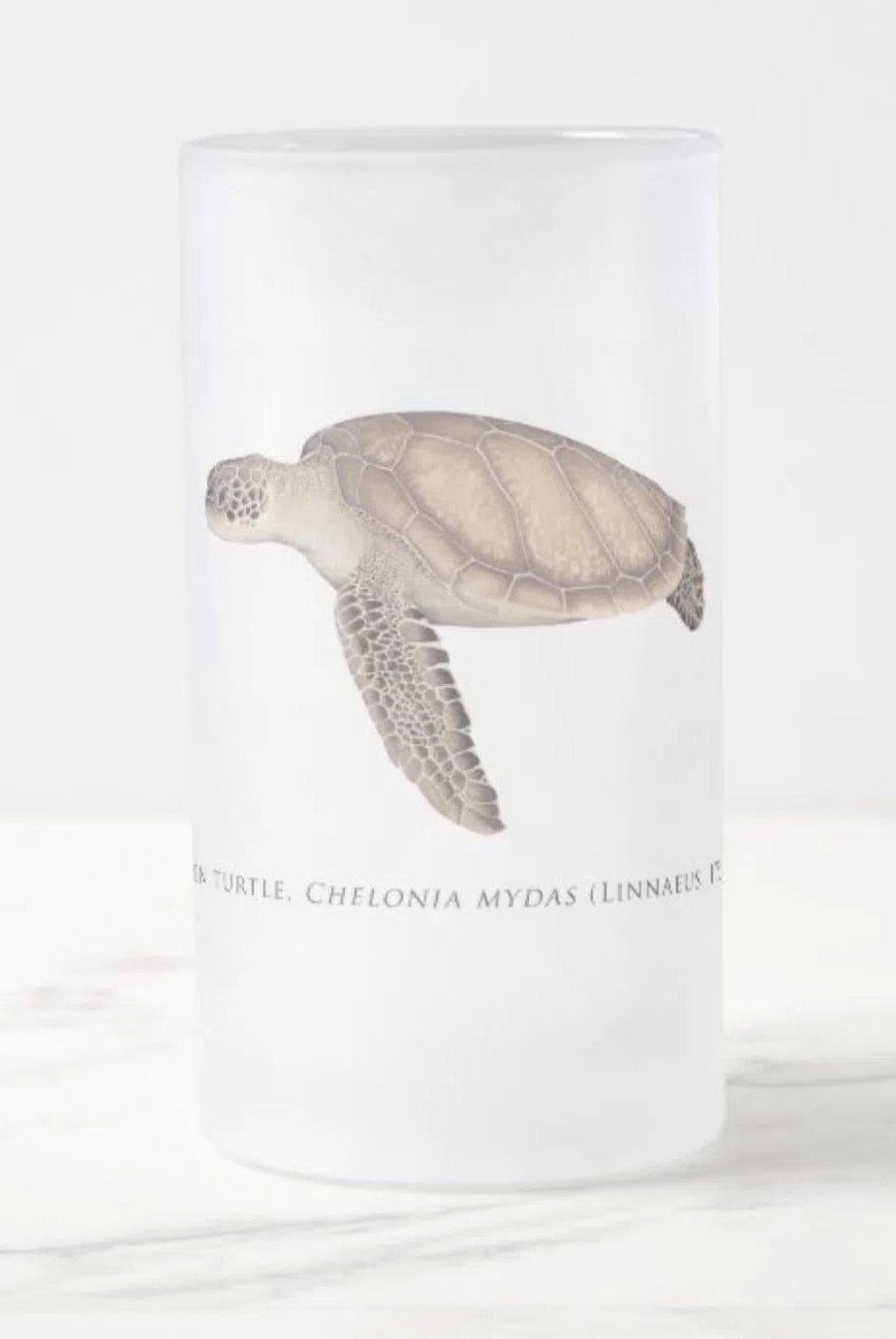 Green Sea Turtle - Frosted Glass Stein-Stick Figure Fish Illustration