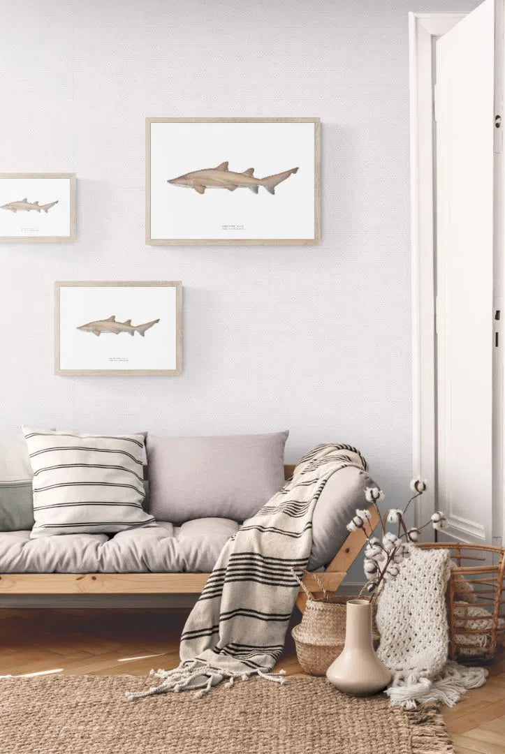 Greynurse Shark, Carcharias taurus Rafinesque 1810 - Fine Art Print-Stick Figure Fish Illustration