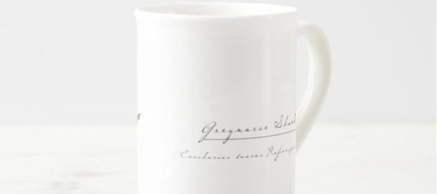 Greynurse Shark - Fine Bone China Mug-Stick Figure Fish Illustration