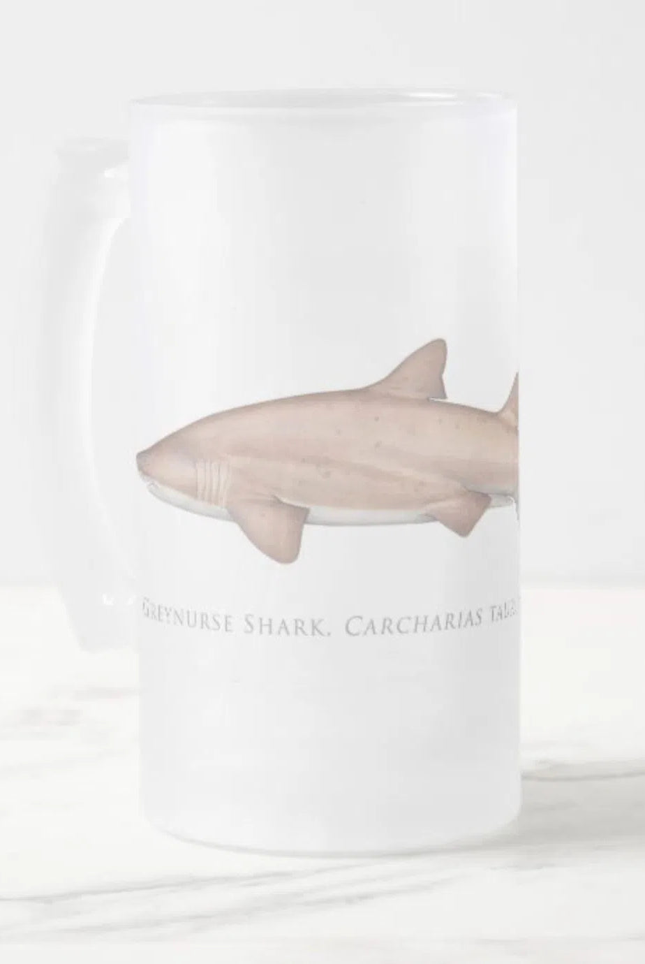 Greynurse Shark - Frosted Glass Stein-Stick Figure Fish Illustration