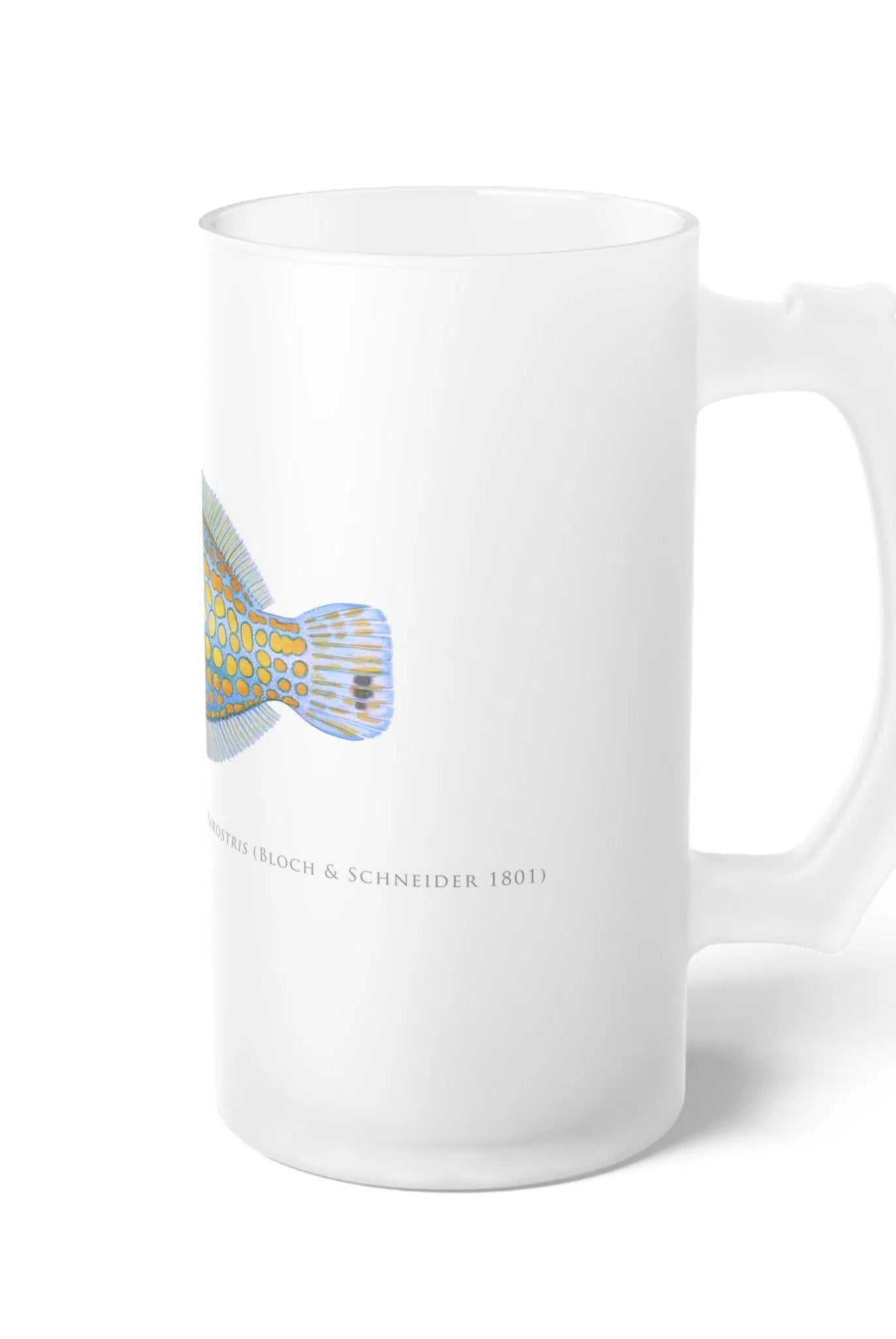 Harlequin Filefish - Frosted Glass Stein-Stick Figure Fish Illustration