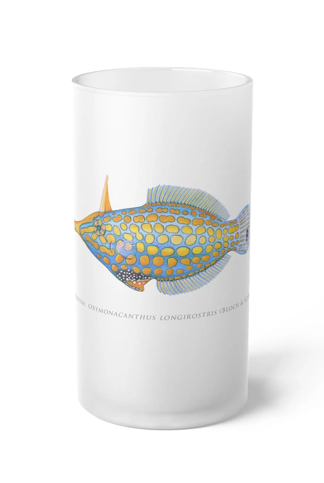 Harlequin Filefish - Frosted Glass Stein-Stick Figure Fish Illustration
