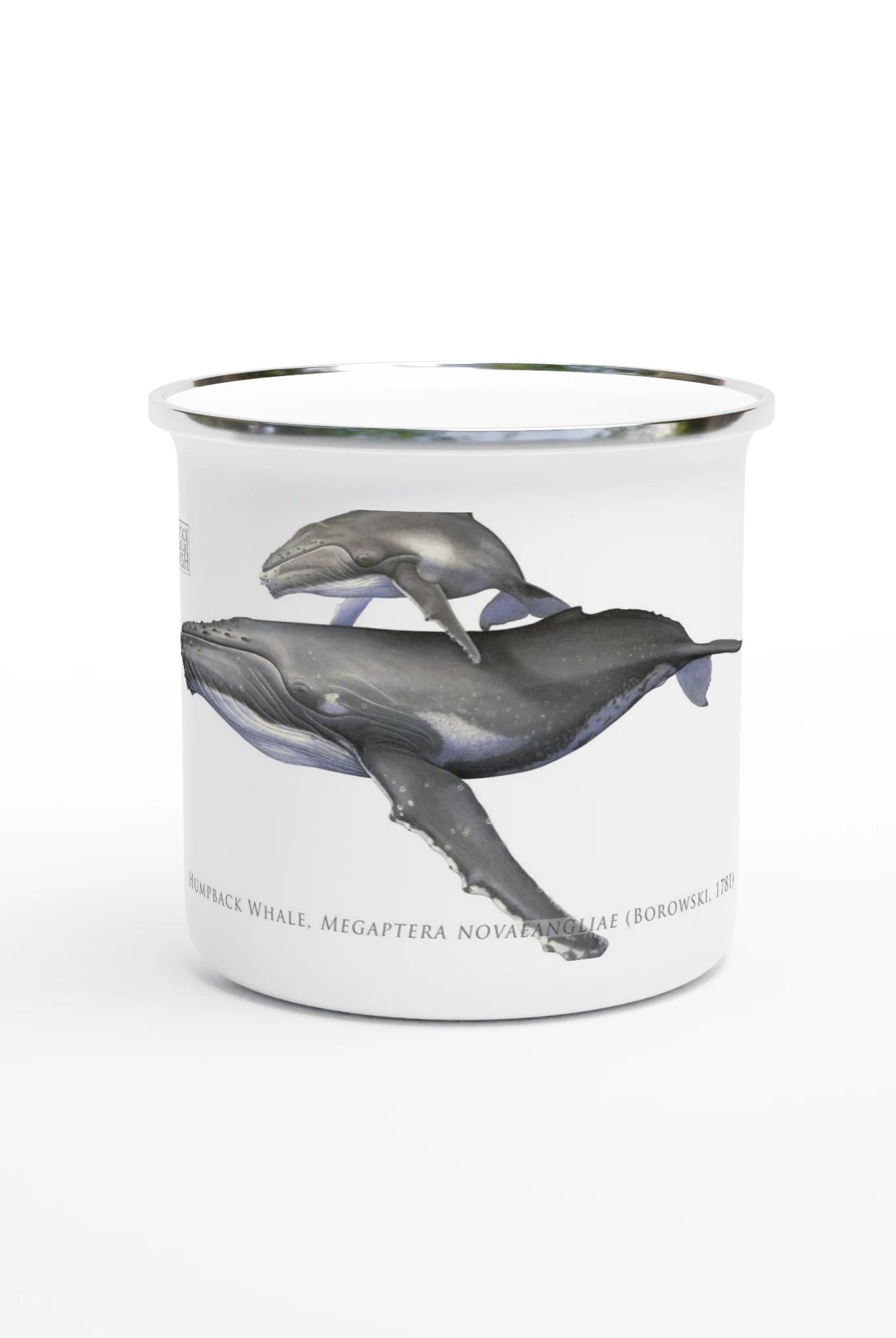 e7afad72-5afd-4dba-8934-ab5b0aae6759