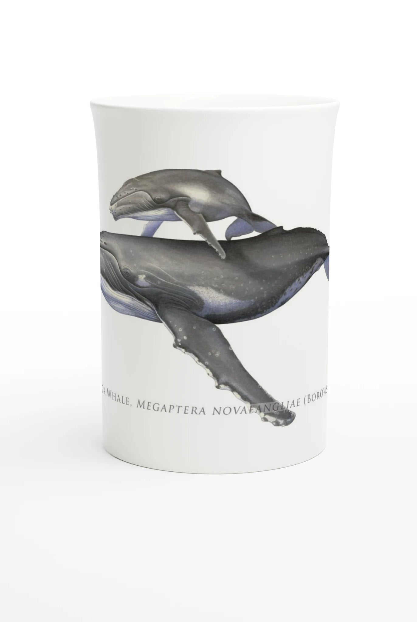 1d977b5d-f0db-4fba-972d-51706766ce4b