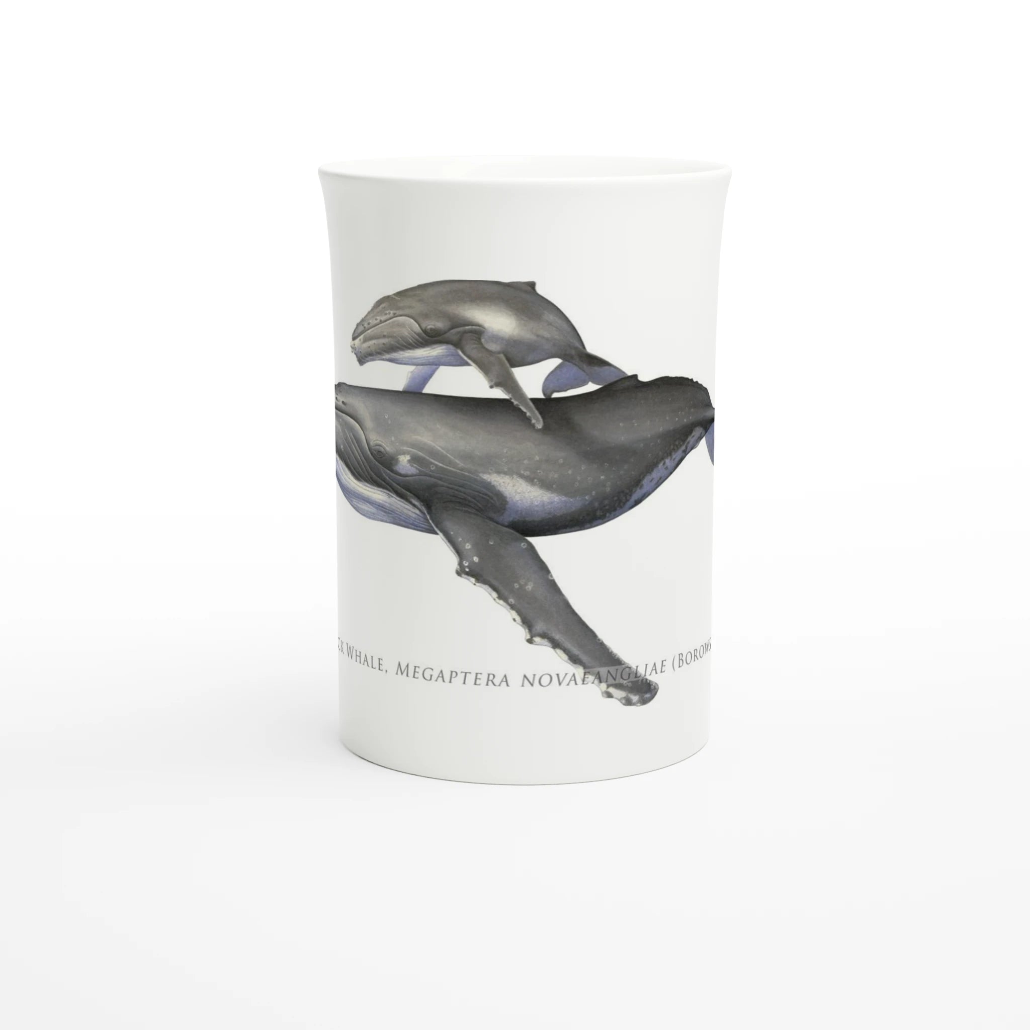 1d977b5d-f0db-4fba-972d-51706766ce4b