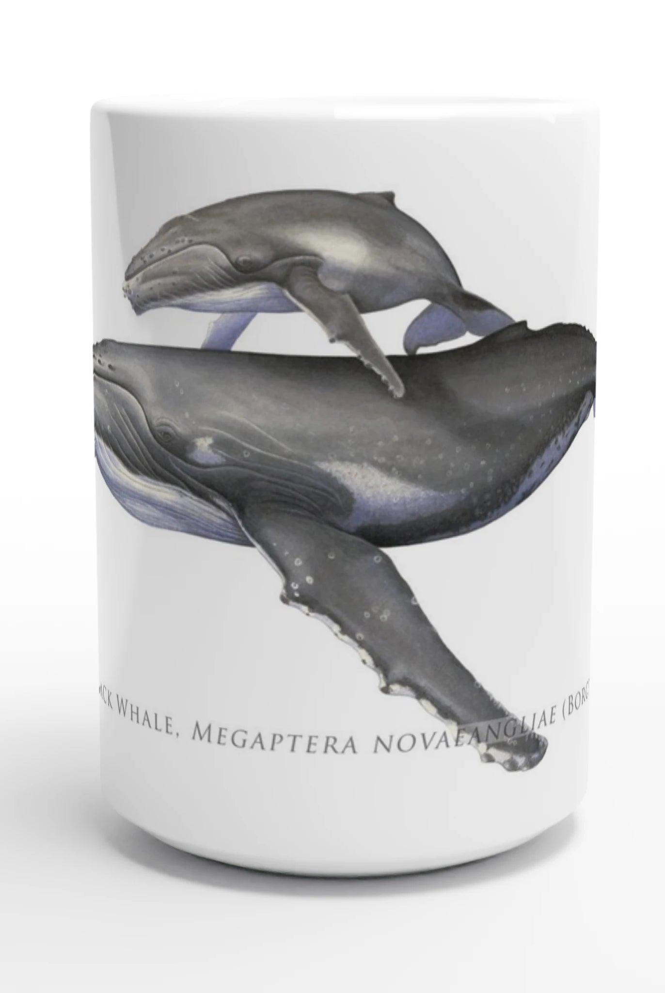 d815d8c5-72e9-45ab-bc27-654bbc7c3a24