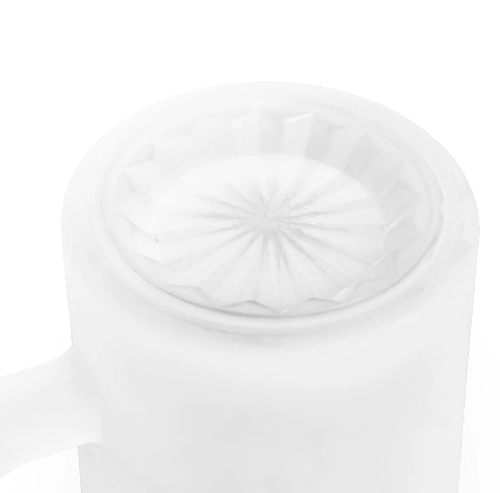 King George Whiting - Tessellation Series - Frosted Glass Stein-Stick Figure Fish Illustration