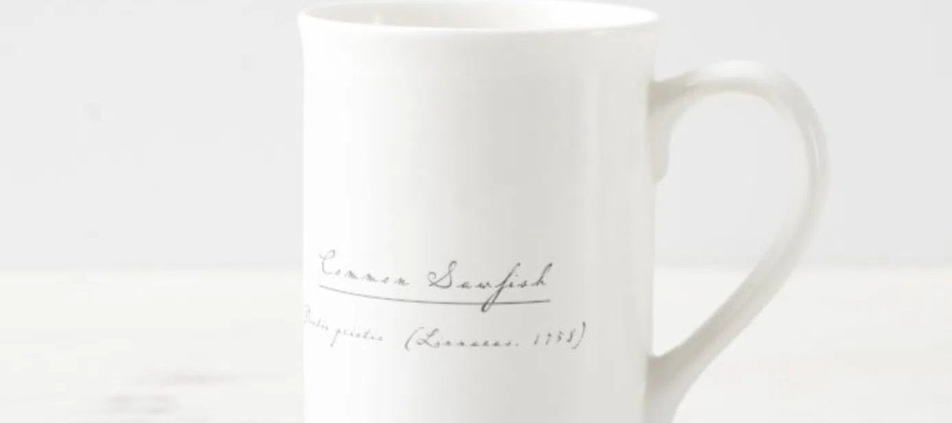 Largetooth Sawfish - Fine Bone China Mug-Stick Figure Fish Illustration
