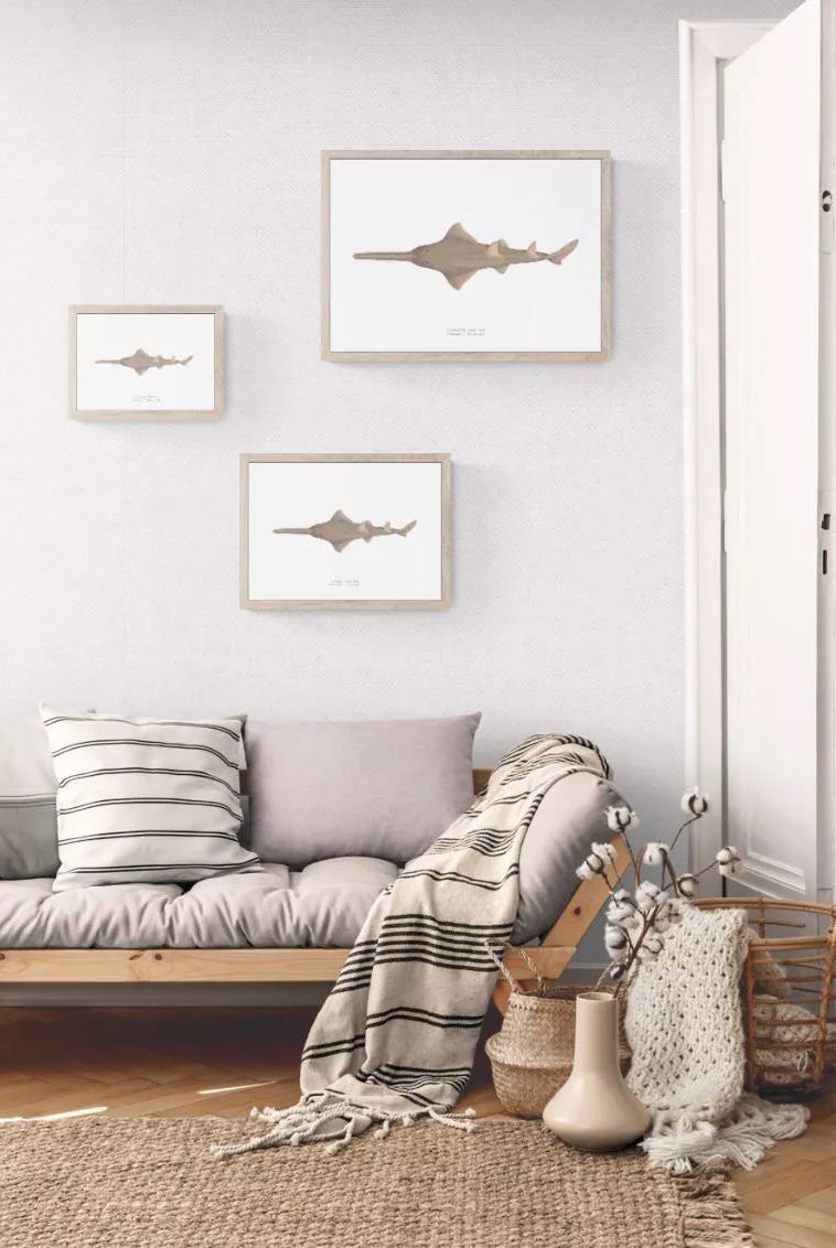 Largetooth Sawfish (Freshwater Sawfish), Pristis pristis (Linnaeus 1758) - Fine Art Print-Stick Figure Fish Illustration