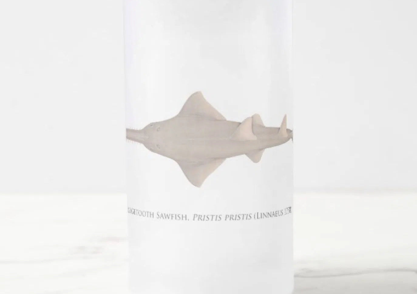 Largetooth Sawfish - Frosted Glass Stein-Stick Figure Fish Illustration