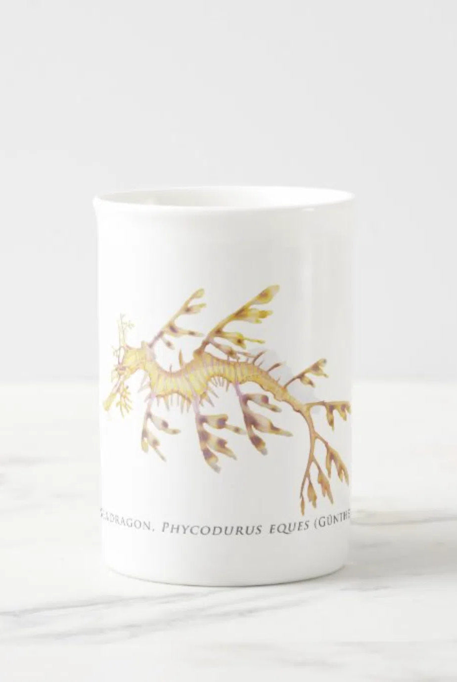Leafy Seadragon - Fine Bone China Mug-Stick Figure Fish Illustration