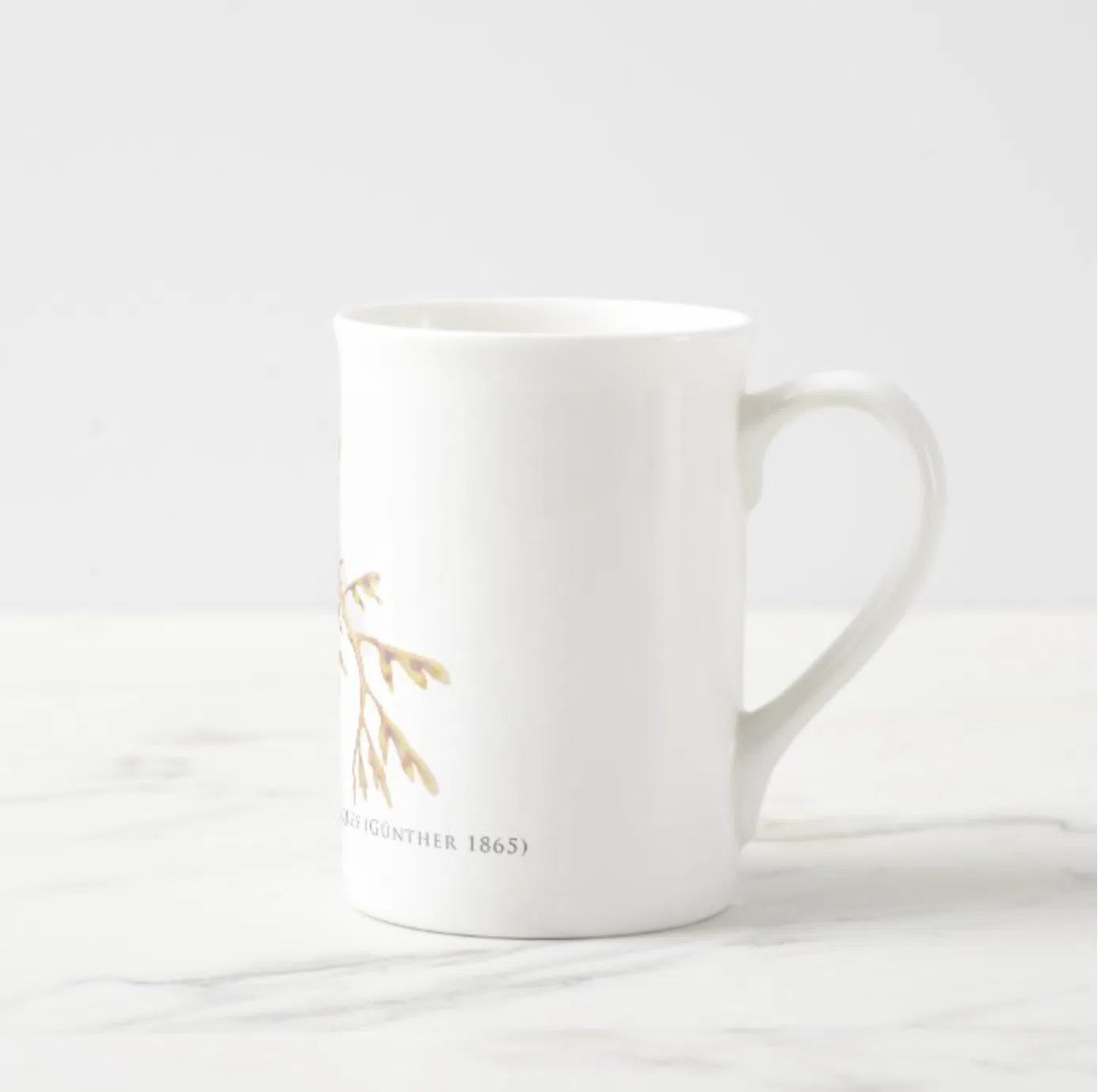 Leafy Seadragon - Fine Bone China Mug-Stick Figure Fish Illustration