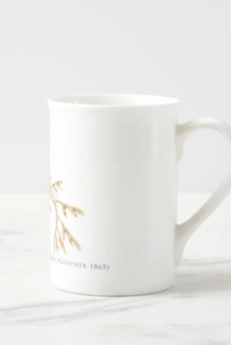 Leafy Seadragon - Fine Bone China Mug-Stick Figure Fish Illustration