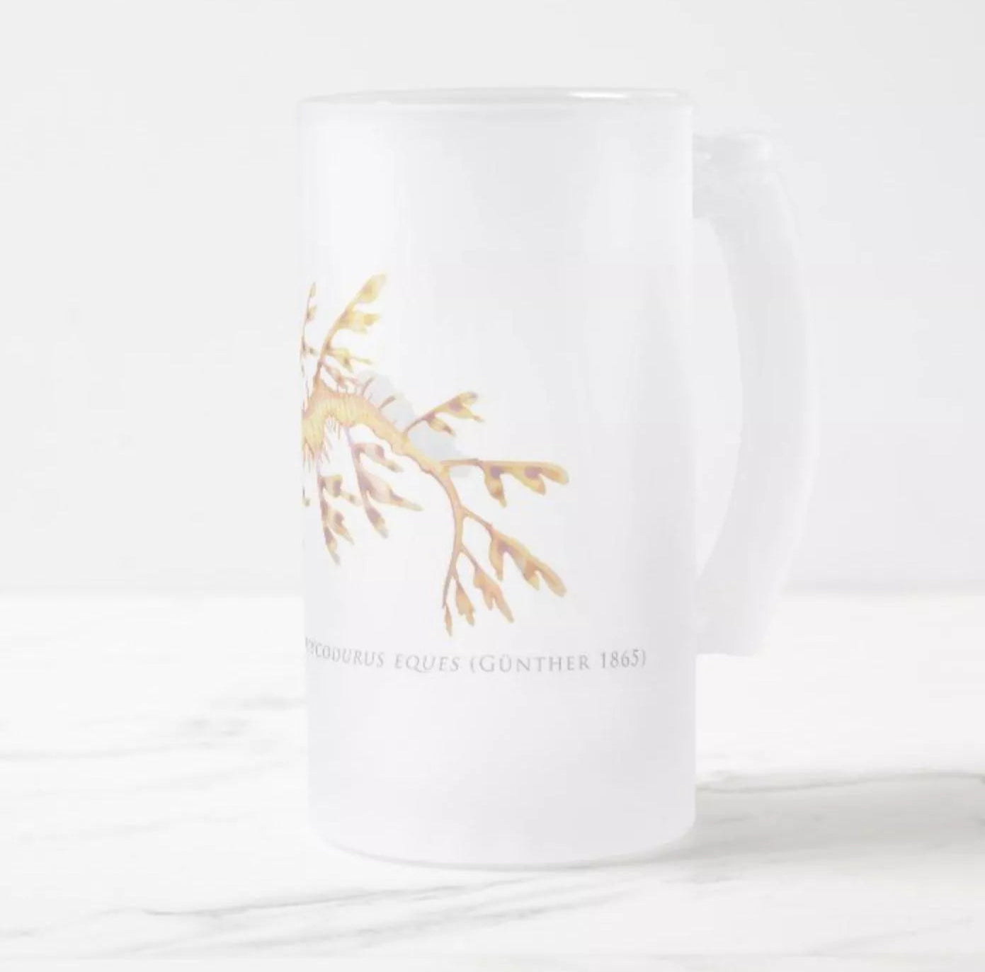 Leafy Seadragon, Phycodurus eques (Günther 1865) - Glass Stein-Stick Figure Fish Illustration