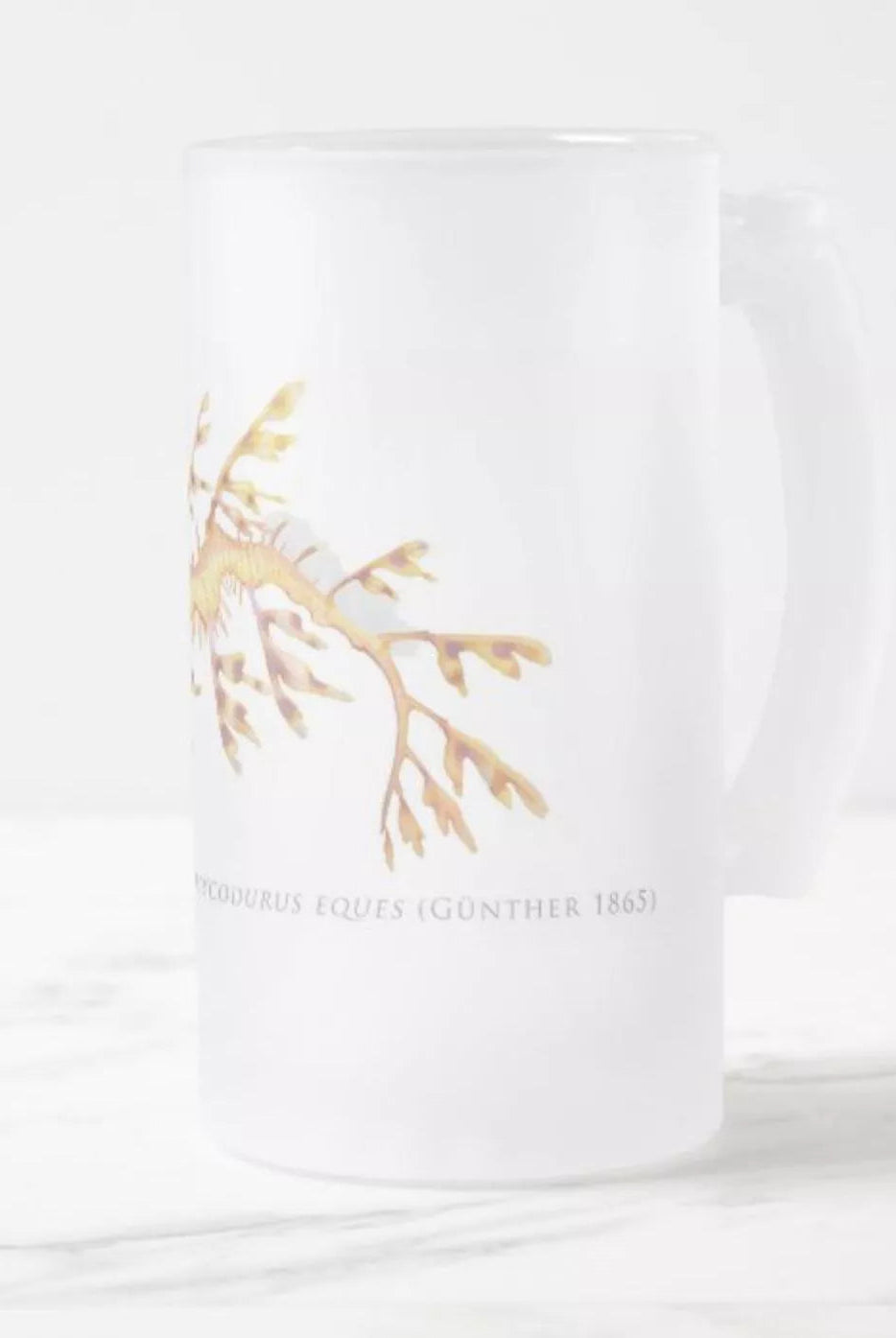 Leafy Seadragon, Phycodurus eques (Günther 1865) - Glass Stein-Stick Figure Fish Illustration