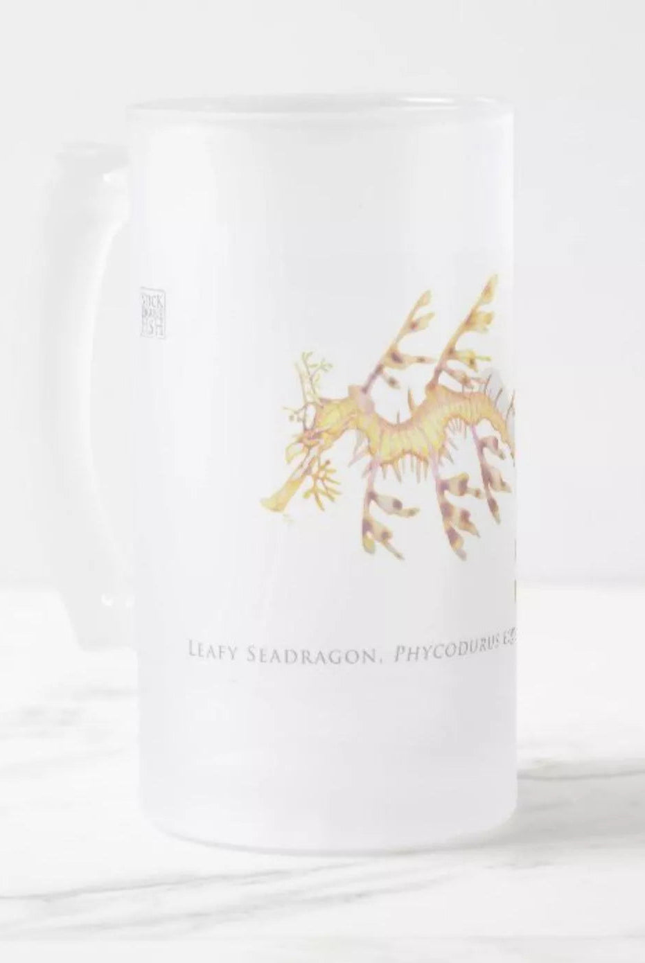 Leafy Seadragon, Phycodurus eques (Günther 1865) - Glass Stein-Stick Figure Fish Illustration