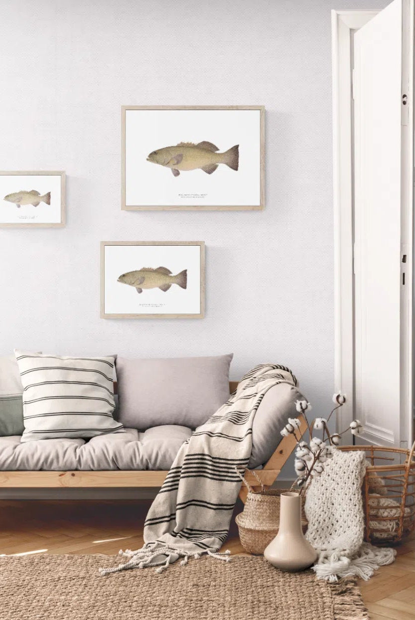 Passionfruit Coral Trout - Fine Art Print-Stick Figure Fish Illustration