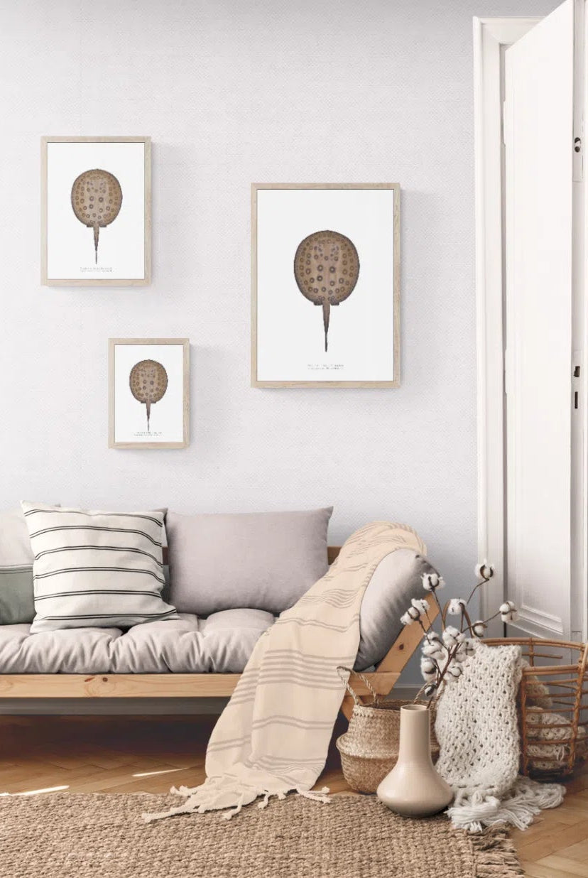 Ocellate River Stingray - Fine Art Print-Stick Figure Fish Illustration