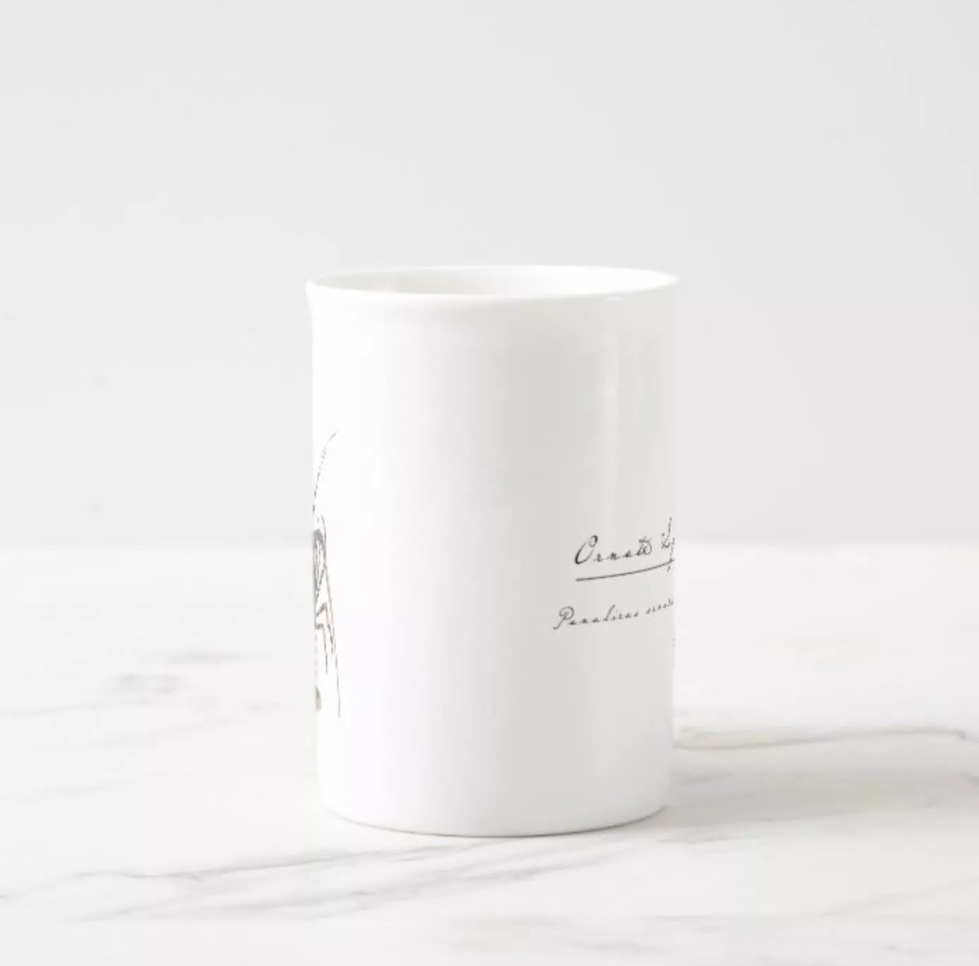 Ornate Spiny Lobster- Fine Bone China Mug-Stick Figure Fish Illustration