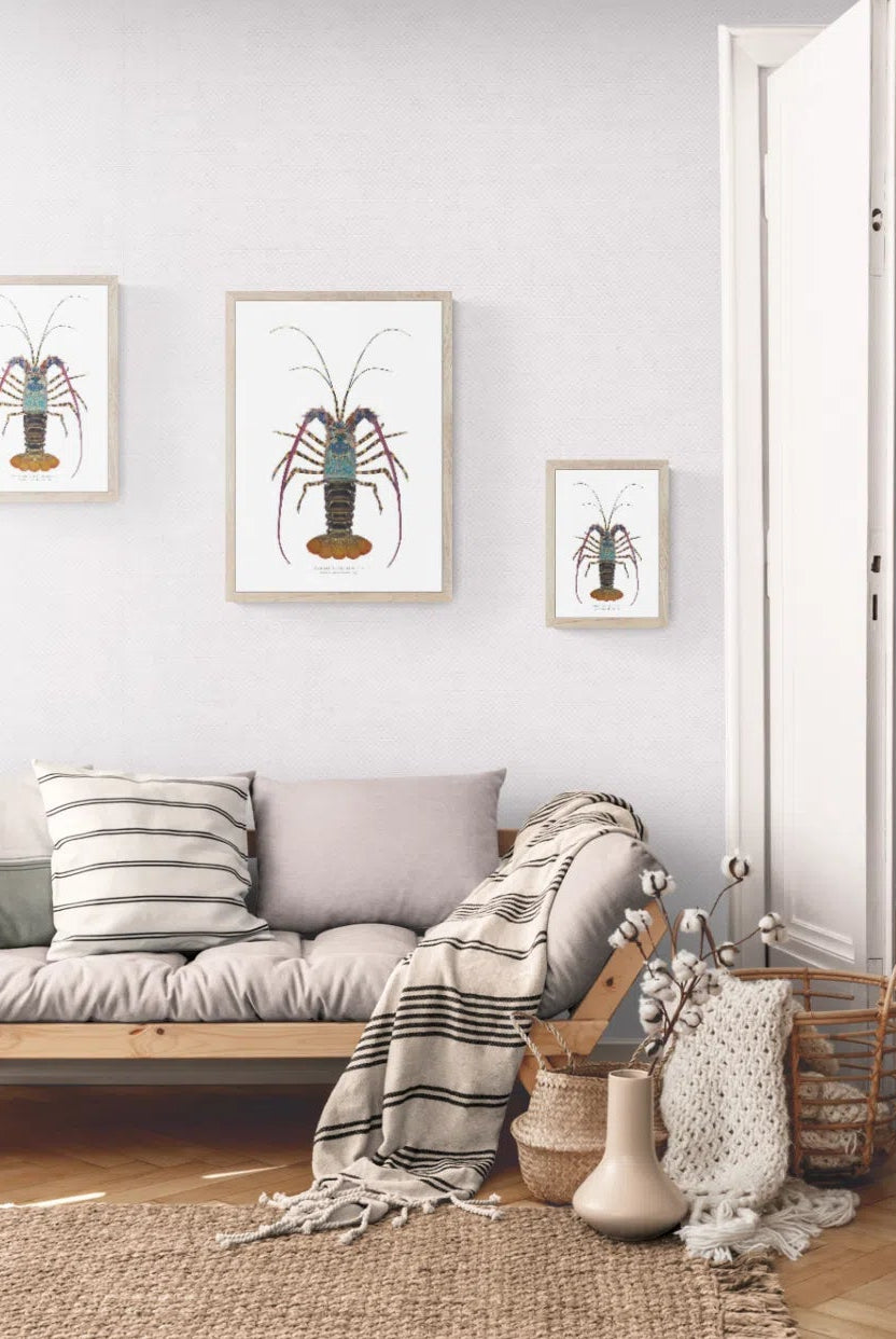 Ornate Spiny Lobster (version 2) - Fine Art Print-Stick Figure Fish Illustration