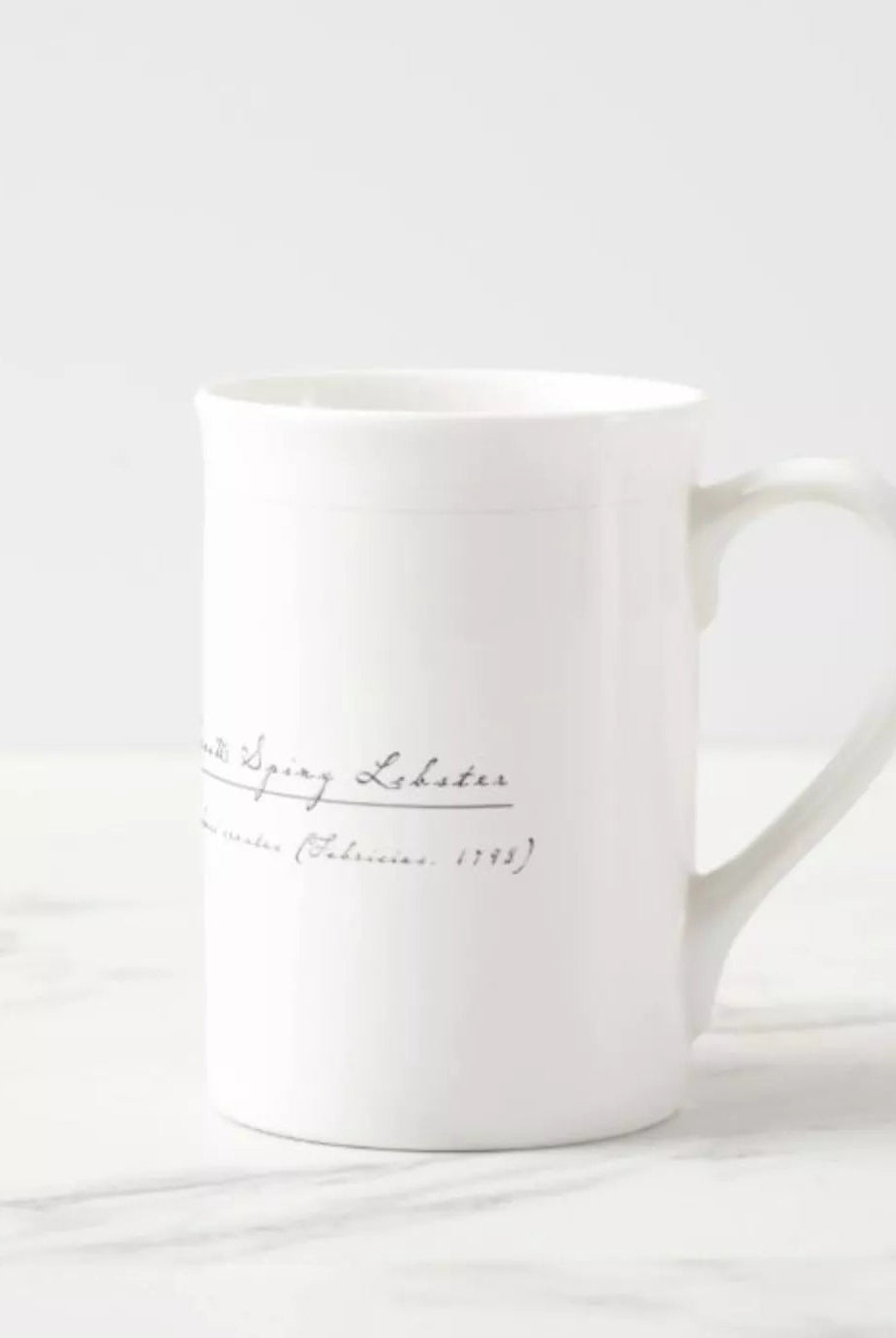 Ornate Spiny Lobster Version 2- Fine Bone China Mug-Stick Figure Fish Illustration