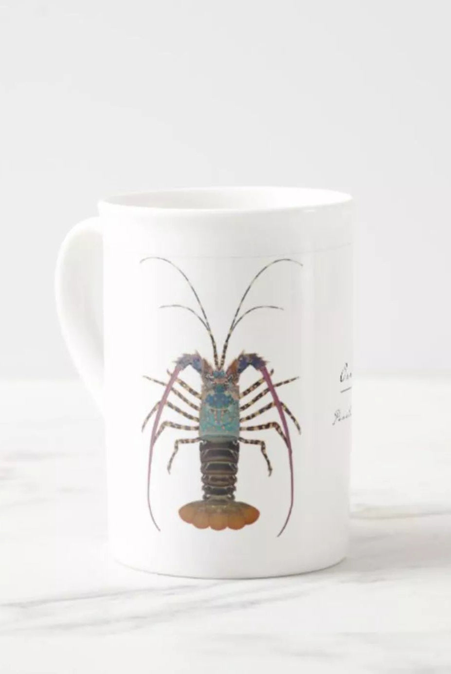 Ornate Spiny Lobster Version 2- Fine Bone China Mug-Stick Figure Fish Illustration