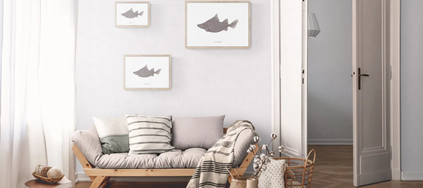 Prickly Dogfish, Oxynotus bruniensis (Ogilby 1893) - Fine Art Print-Stick Figure Fish Illustration