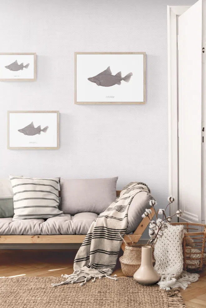 Prickly Dogfish, Oxynotus bruniensis (Ogilby 1893) - Fine Art Print-Stick Figure Fish Illustration