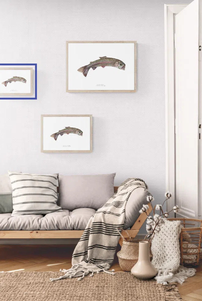 Rainbow Trout, Oncorhynchus mykiss (Walbaum 1792) - Fine Art Print-Stick Figure Fish Illustration