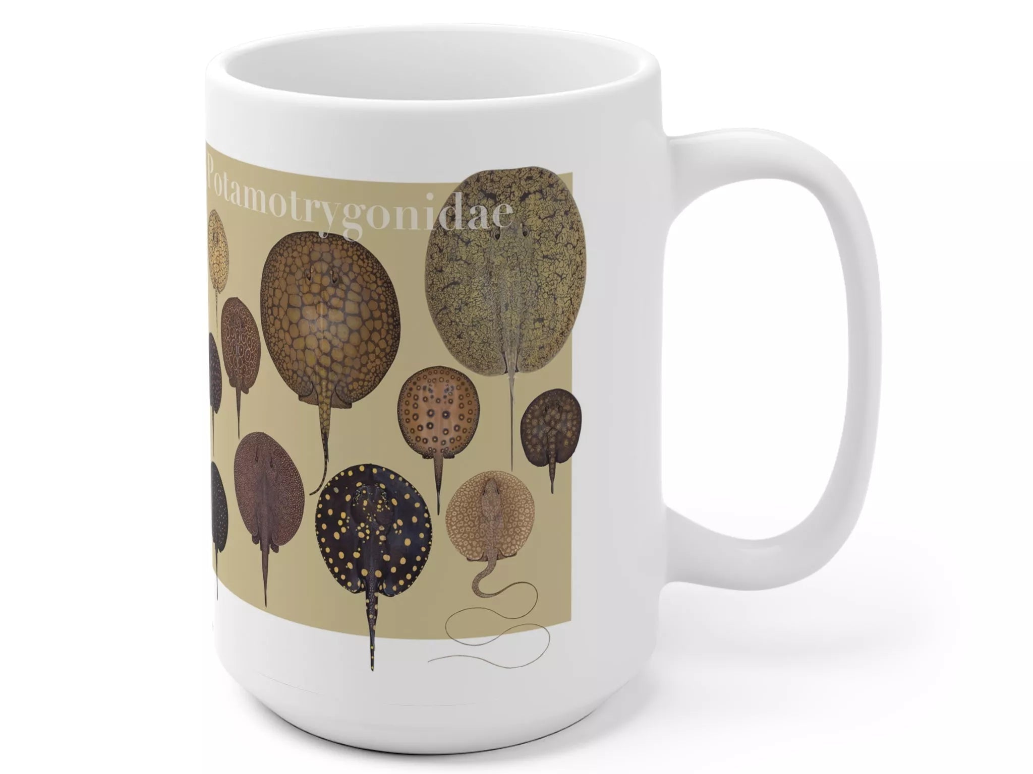 Rays of the World 2021 Calendar - Mug-Stick Figure Fish Illustration