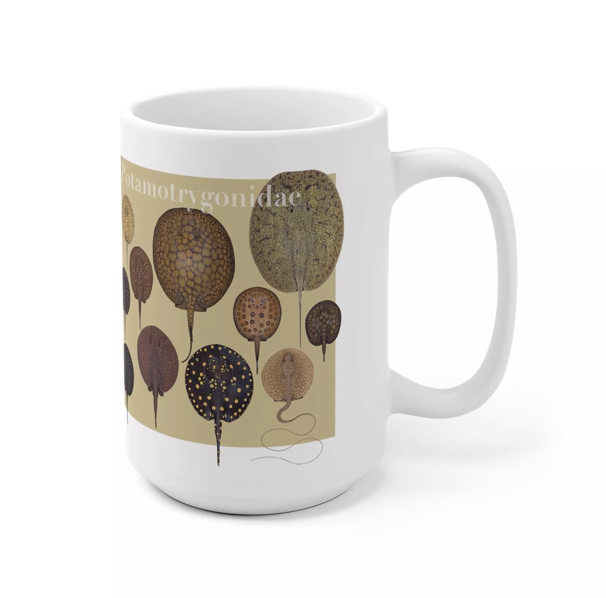 Rays of the World 2021 Calendar - Mug-Stick Figure Fish Illustration