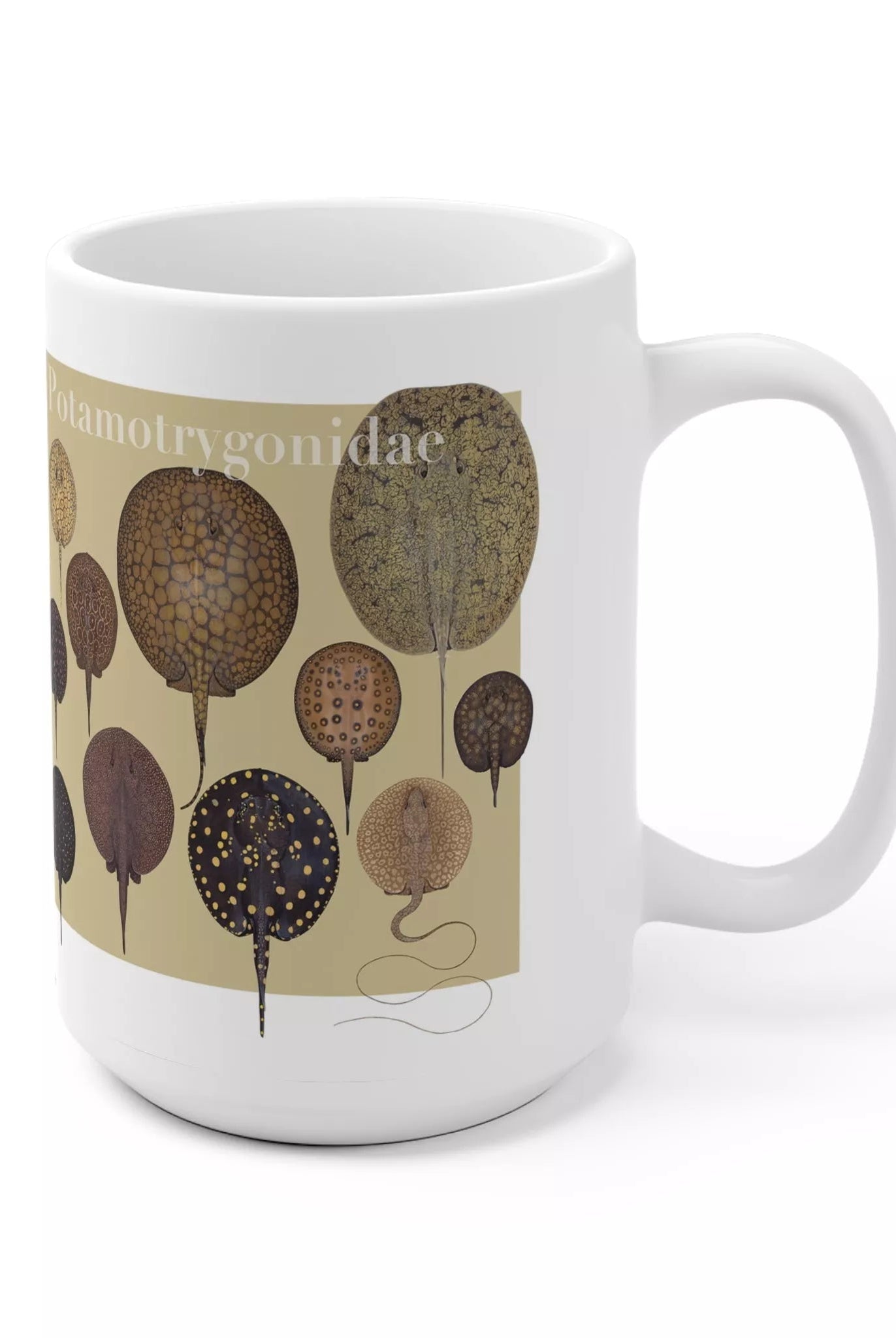 Rays of the World 2021 Calendar - Mug-Stick Figure Fish Illustration