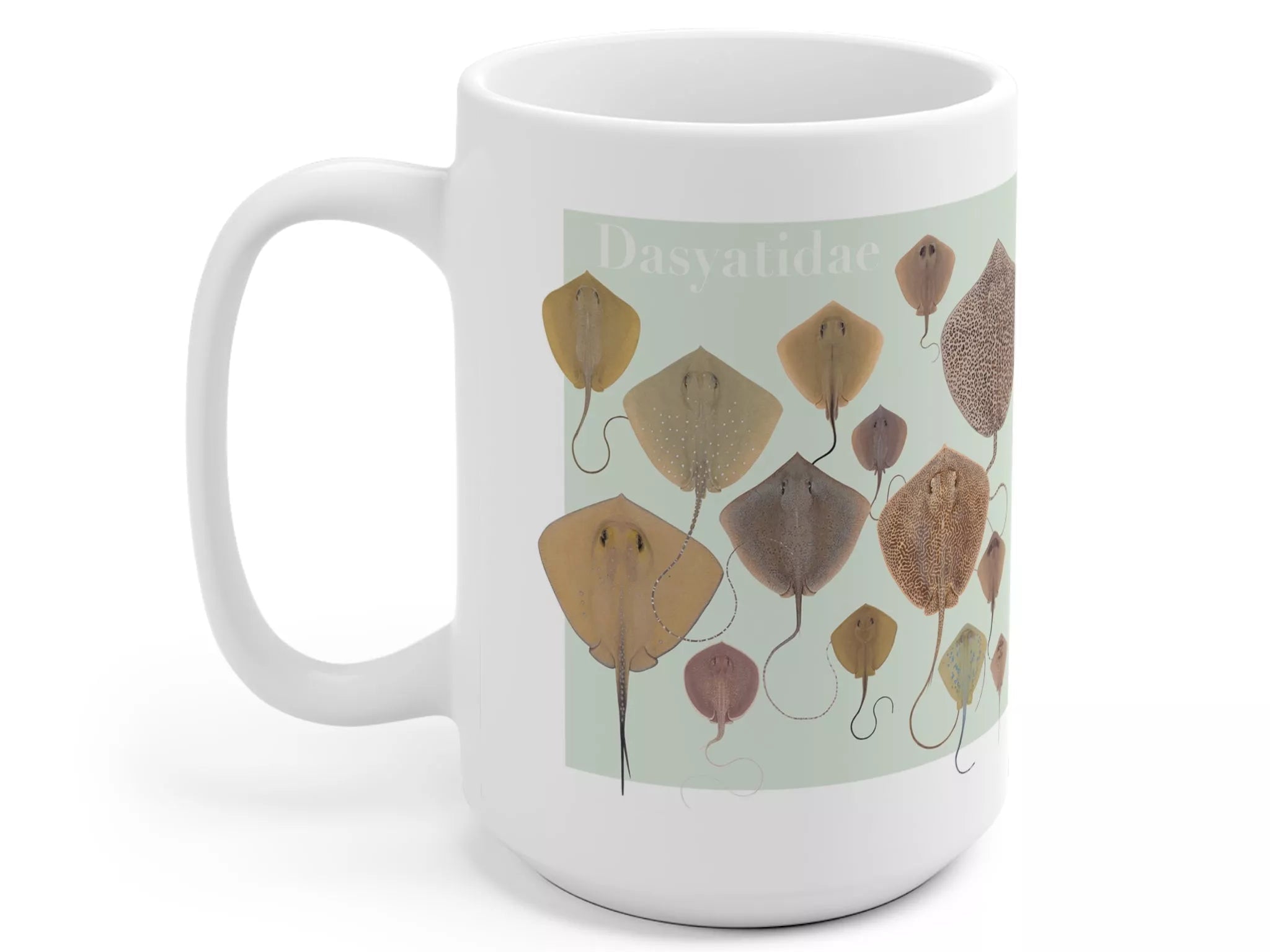 Rays of the World 2021 Calendar - Mug-Stick Figure Fish Illustration
