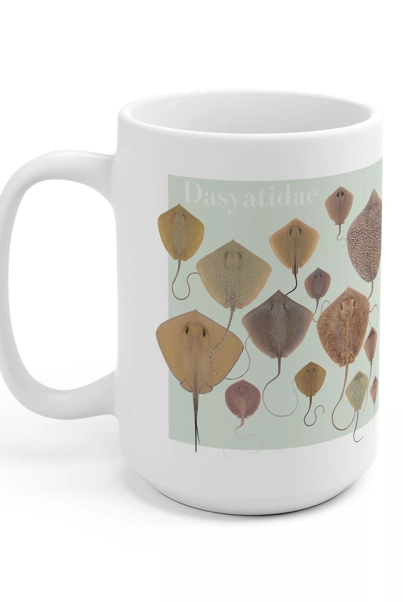 Rays of the World 2021 Calendar - Mug-Stick Figure Fish Illustration