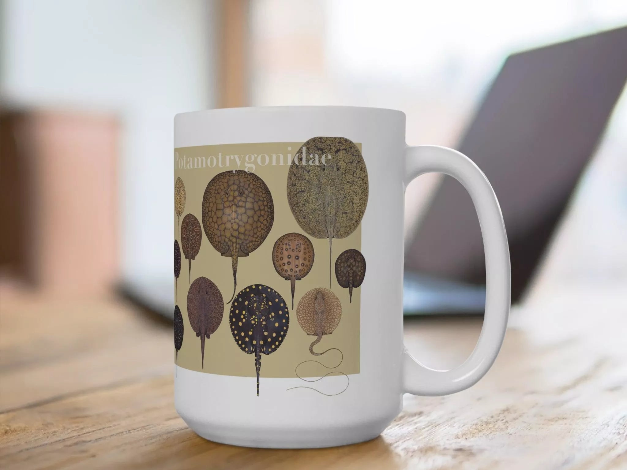 Rays of the World 2021 Calendar - Mug-Stick Figure Fish Illustration