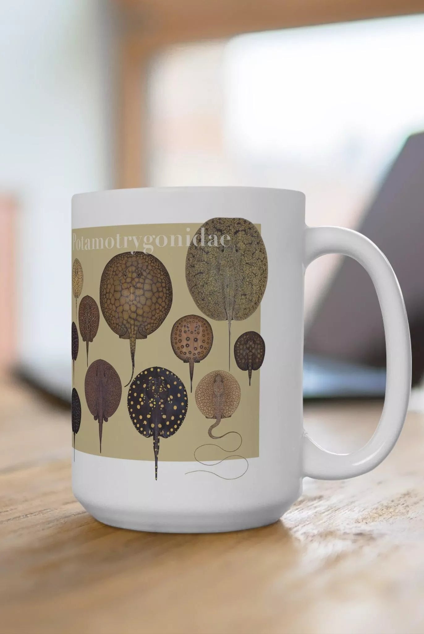 Rays of the World 2021 Calendar - Mug-Stick Figure Fish Illustration