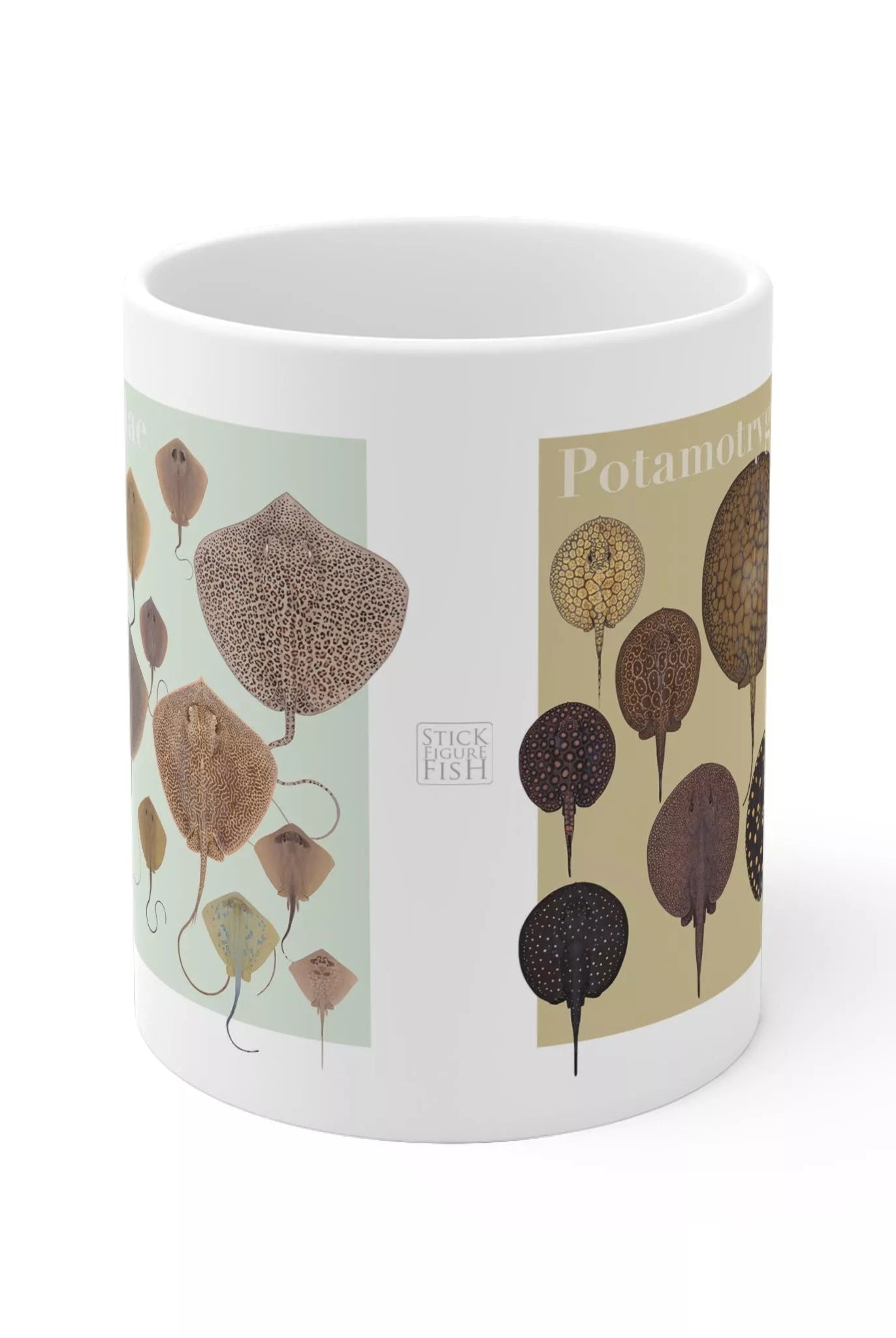 Rays of the World 2021 Calendar - Mug-Stick Figure Fish Illustration