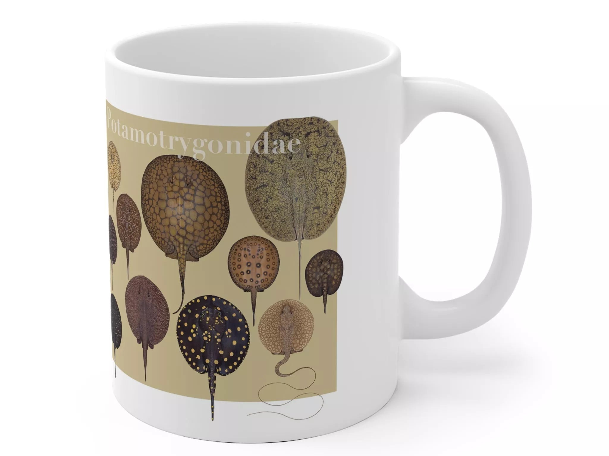 Rays of the World 2021 Calendar - Mug-Stick Figure Fish Illustration