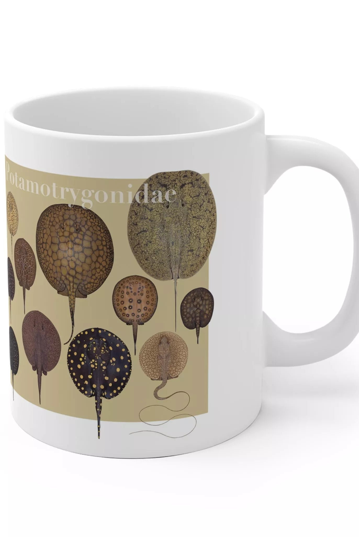 Rays of the World 2021 Calendar - Mug-Stick Figure Fish Illustration