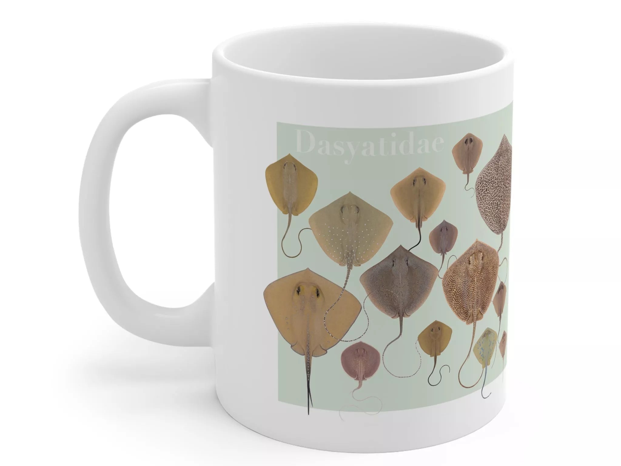 Rays of the World 2021 Calendar - Mug-Stick Figure Fish Illustration
