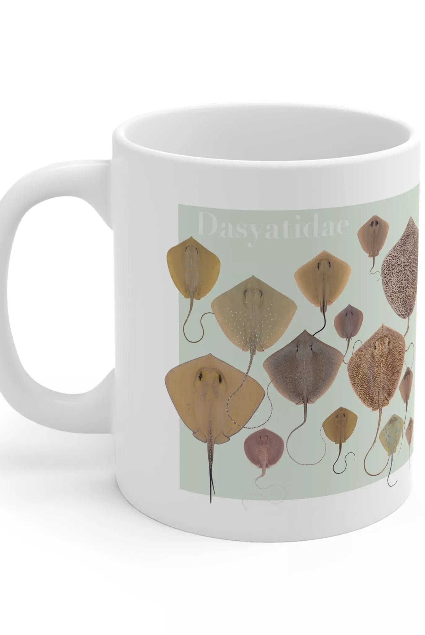 Rays of the World 2021 Calendar - Mug-Stick Figure Fish Illustration