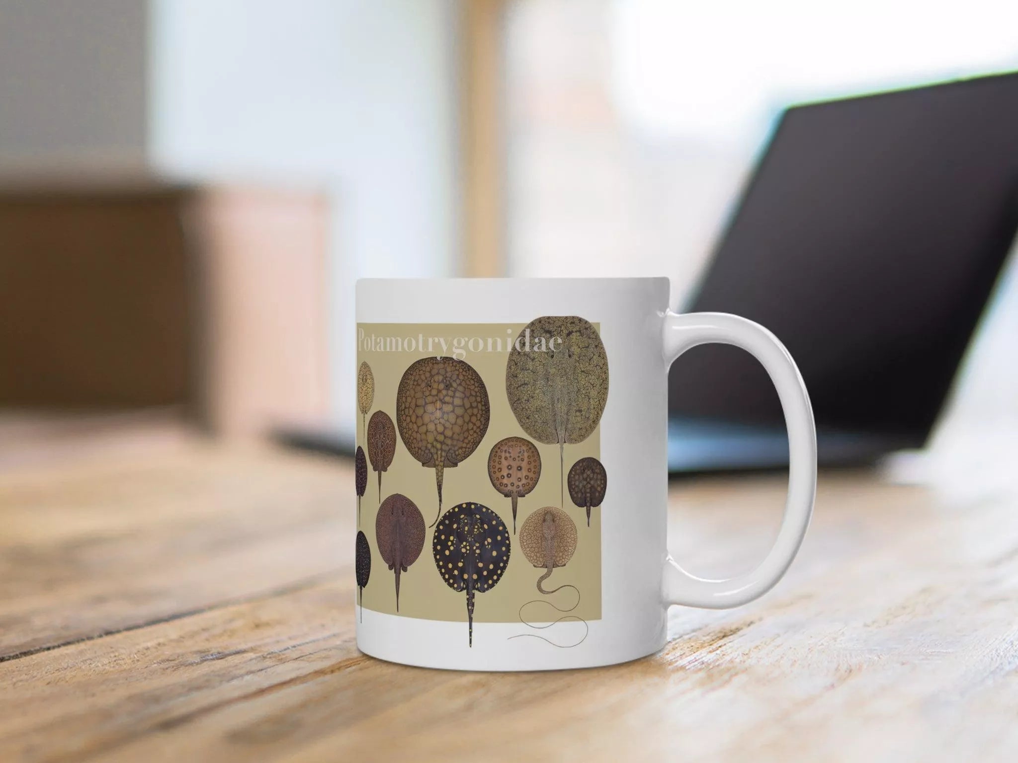 Rays of the World 2021 Calendar - Mug-Stick Figure Fish Illustration