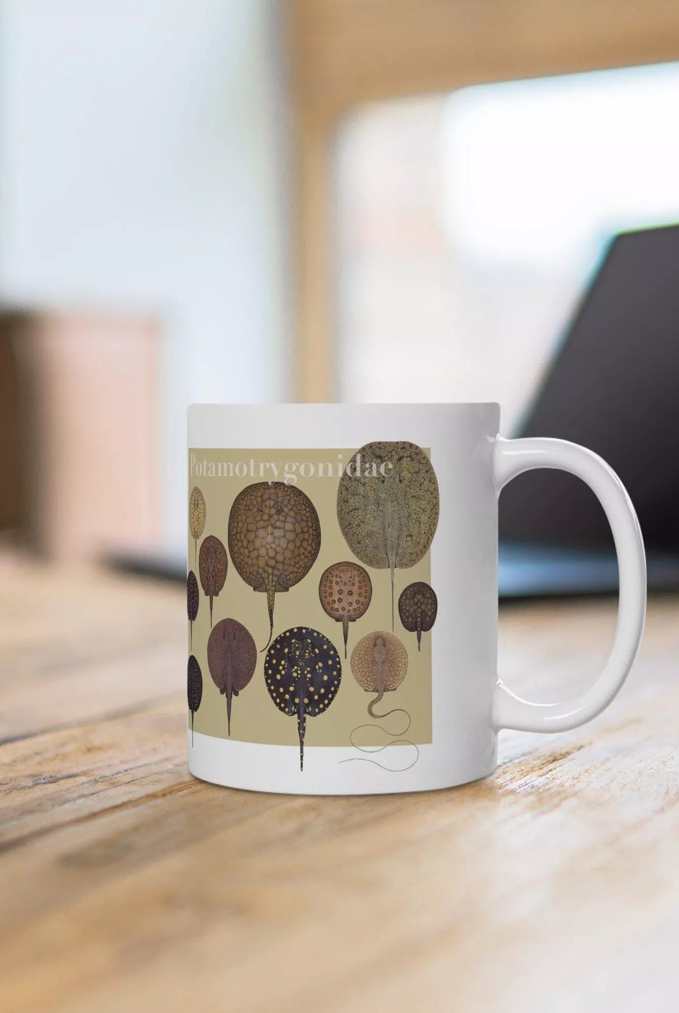 Rays of the World 2021 Calendar - Mug-Stick Figure Fish Illustration