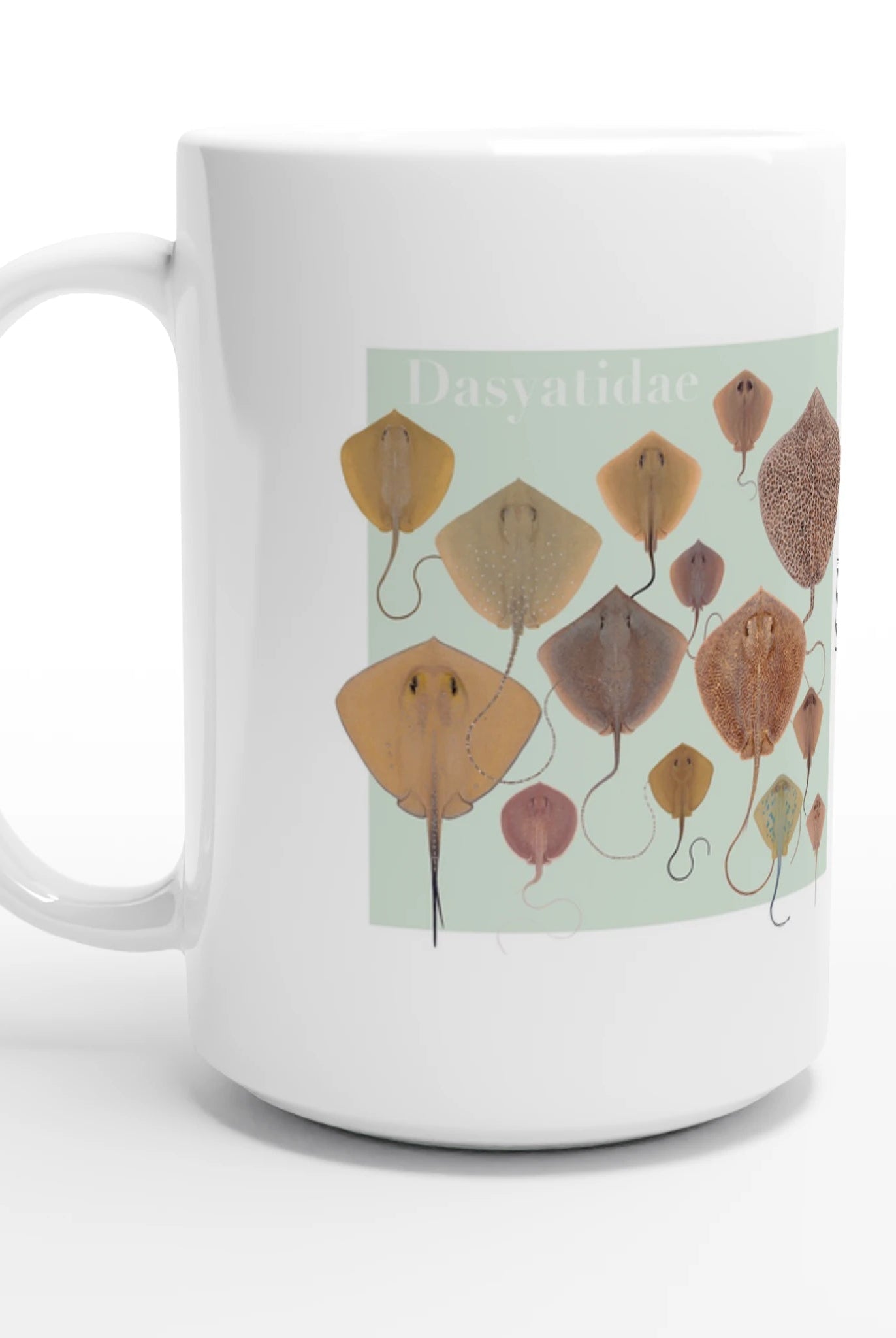 38d44284-ee61-4739-b2e7-31b3b5461134